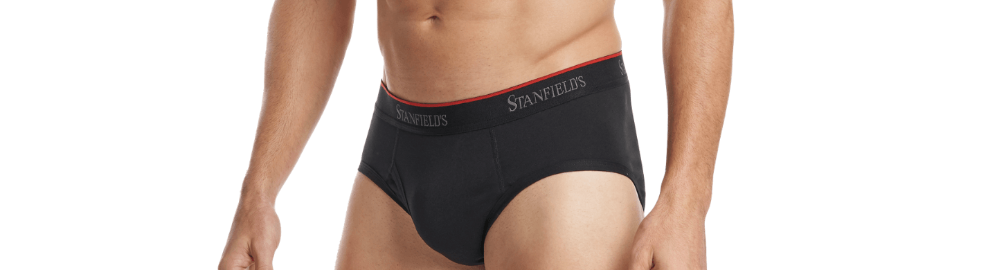 Stanfield's 2-Pack Adult Mens Premium Cotton Low Rise Boxer Briefs, Sizes  S-XL