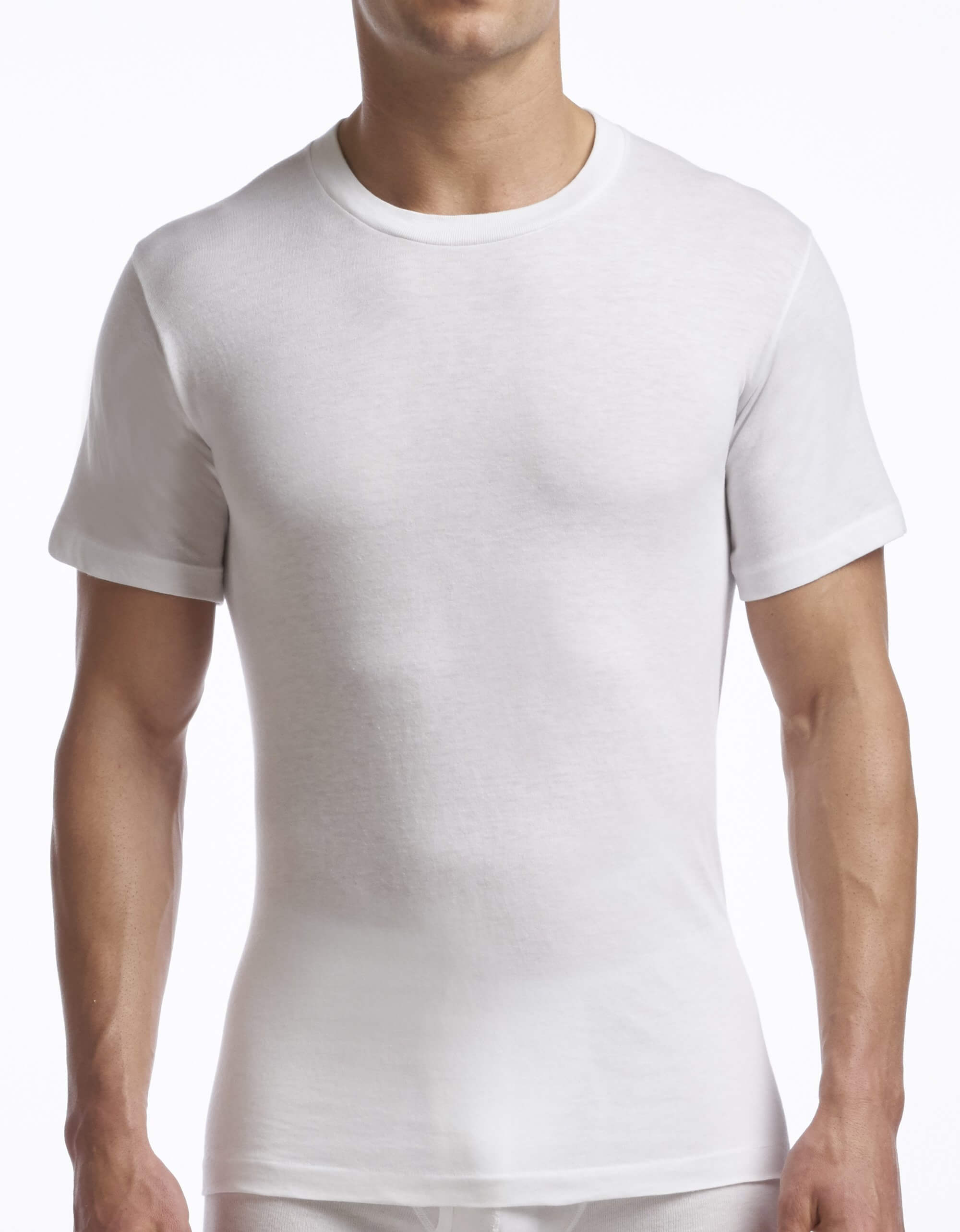 Men's Crew Neck T-Shirt Supreme Collection (2 Pack) | Stanfields.com