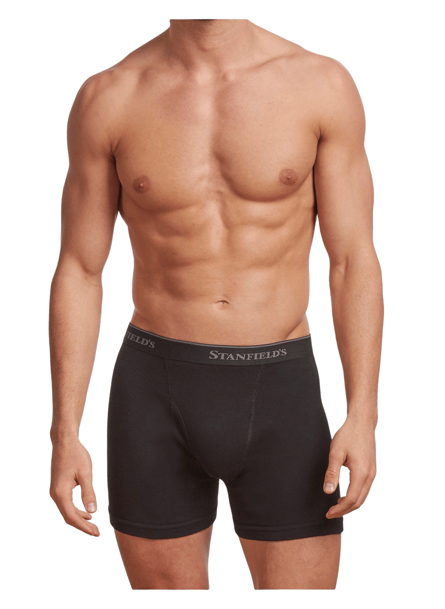 What is Men′s Boxer Briefs Cotton Regular Long Mens Briefs Underwear