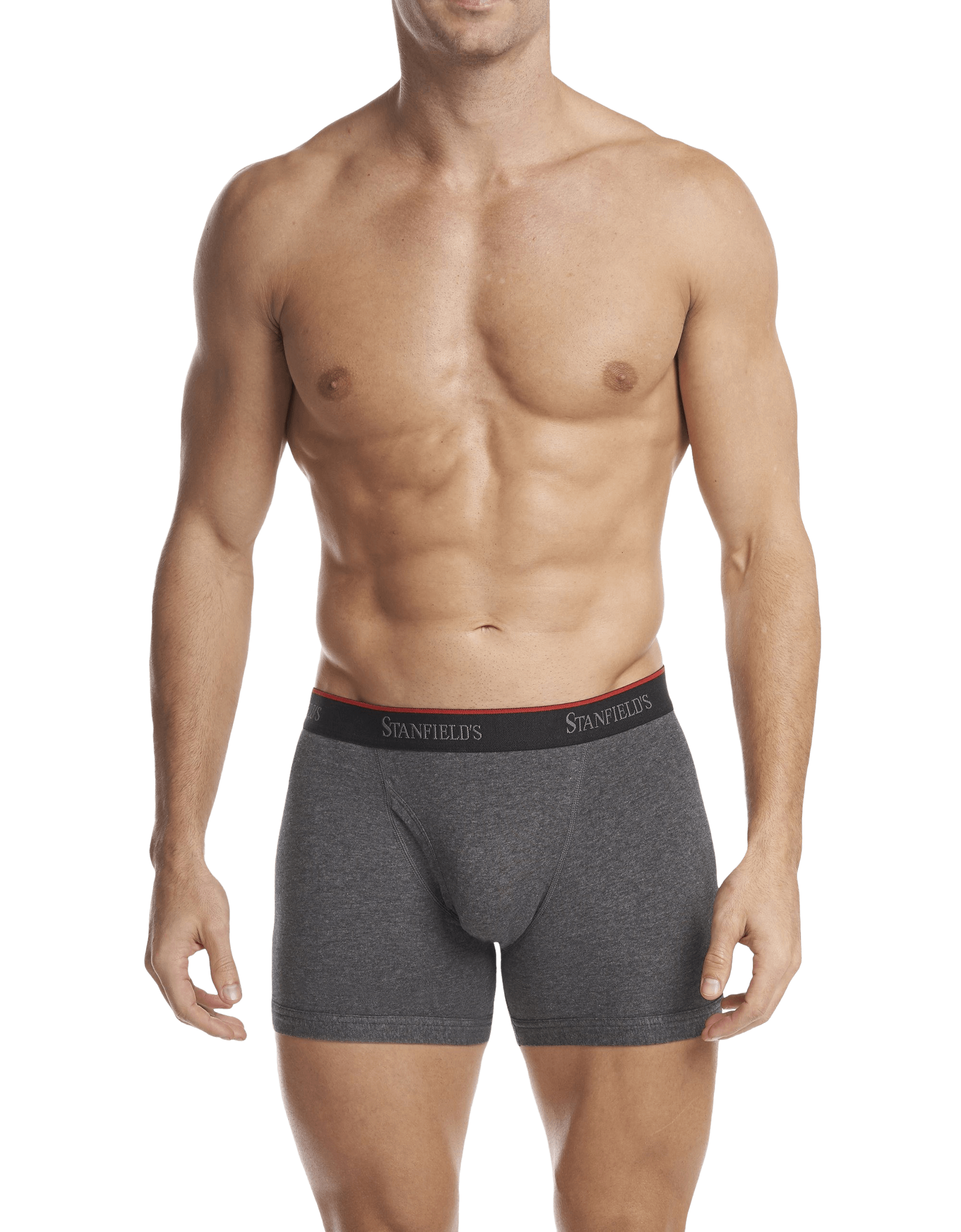 Buy Wholesale 3-Pack Men's Stretch Cotton Boxer Briefs in Grey