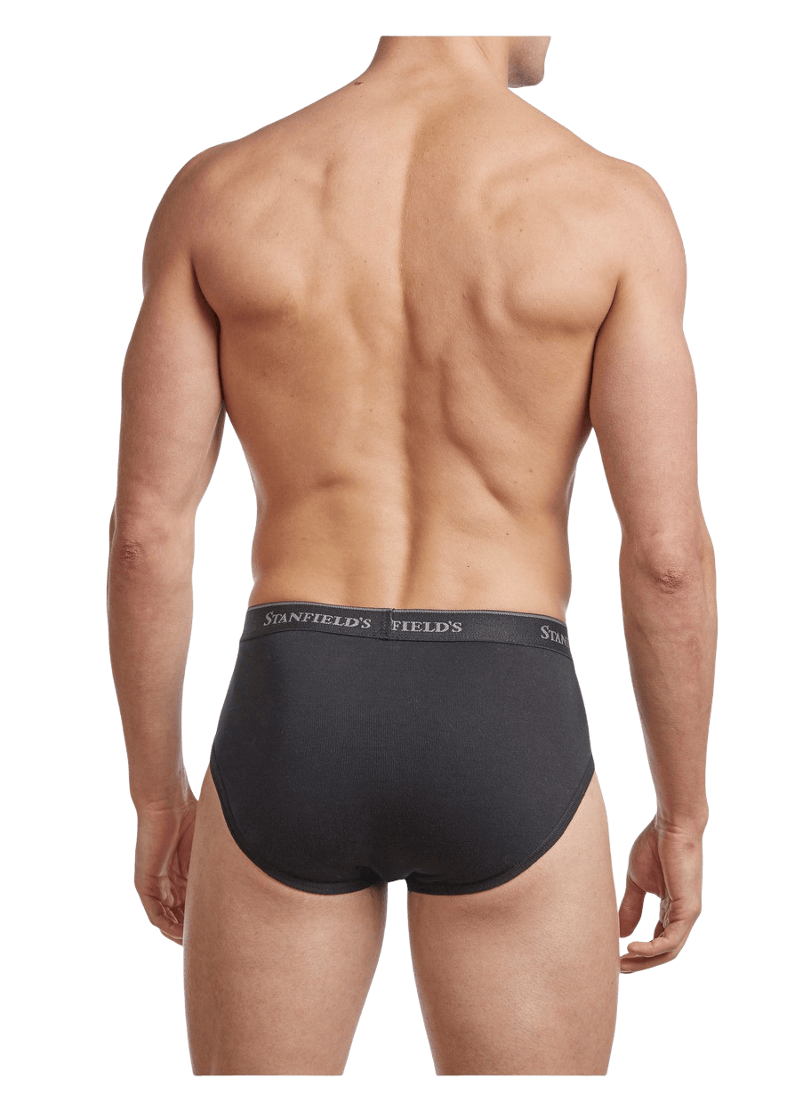 Stanfield's Big and Tall 2-Pack Cotton Boxer Briefs - Mens