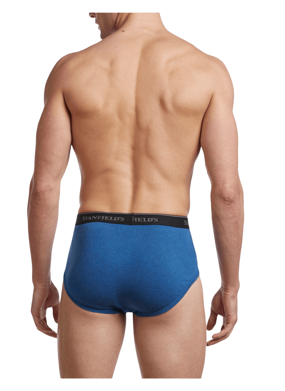 Comfneat Men's 9 Boxer Briefs Stretchy Cotton Spandex Underwear with Fly  4-Pack : : Health & Personal Care