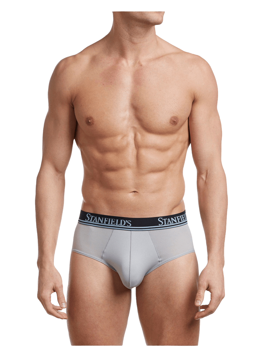 Stanfield's Men's Premium 100% Cotton Brief Underwear - 3 Pack 
