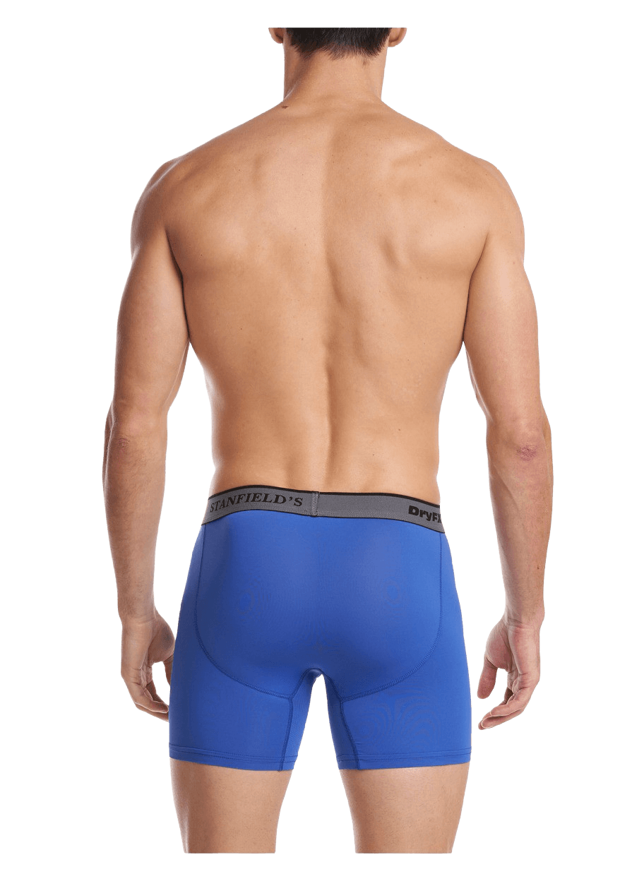 https://www.stanfields.com/cdn/shop/products/mens-performance-microfibre-cooling-boxer-brief_FX28-electric-blue-black-sw.png?v=1687820405&width=912