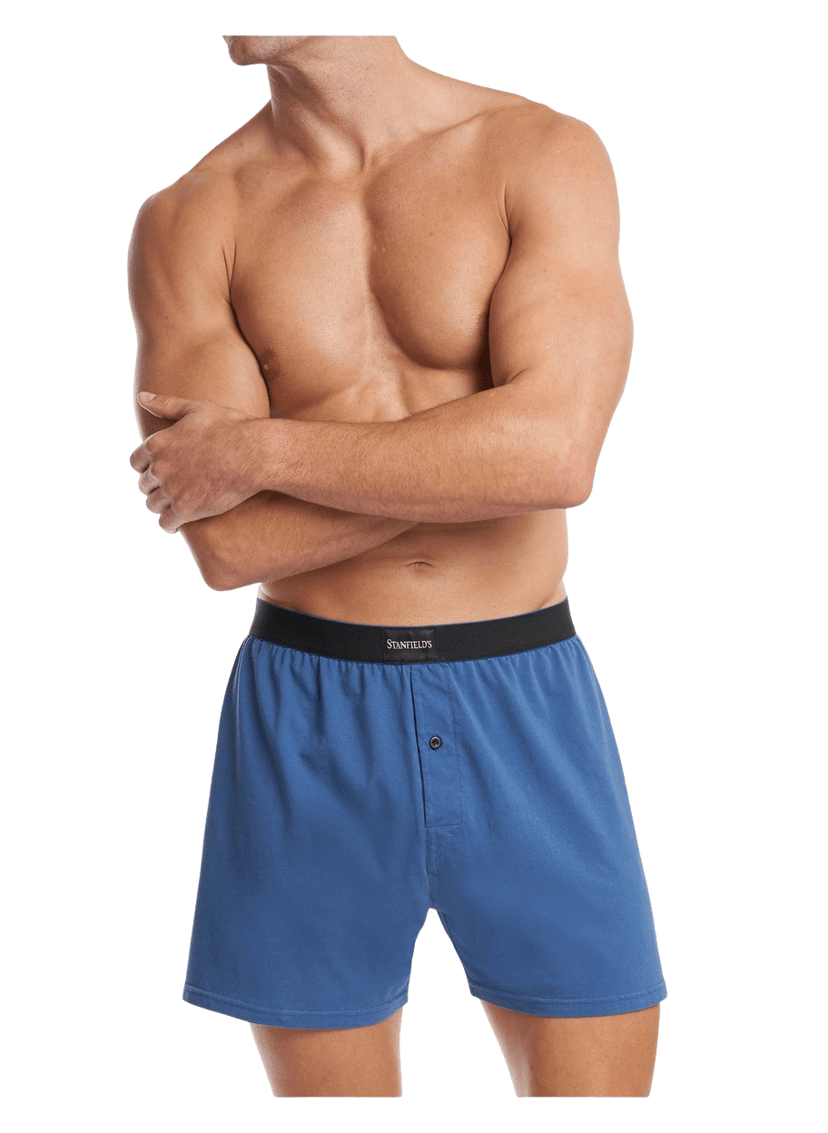 Premium Boys Cotton Shorts  Cotton boxer shorts - DaMENSCH