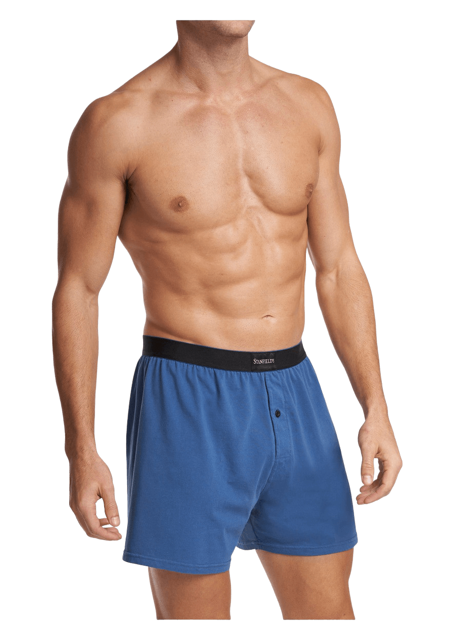 Calvin Klein Pure Cotton Stretch Blend 3-pack Boxer Brief in Blue for Men