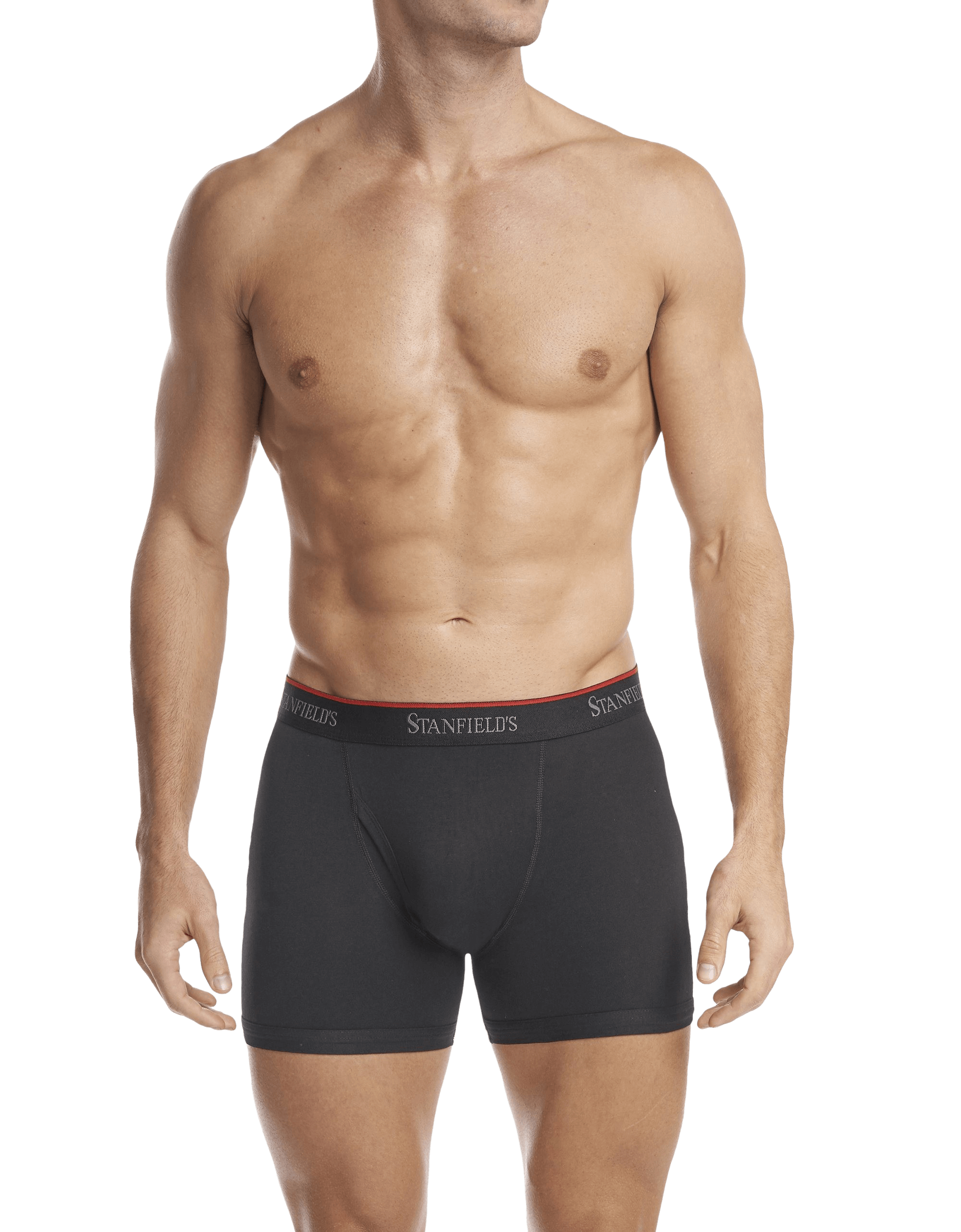 https://www.stanfields.com/cdn/shop/products/mens-stretch-boxer-brief-2-pack_2563-black-front-sw.png?v=1635943512&width=2000