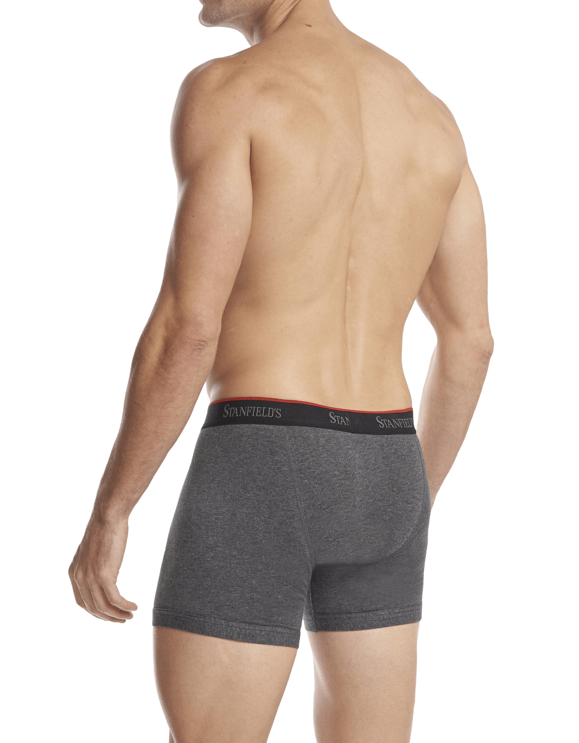 https://www.stanfields.com/cdn/shop/products/mens-stretch-boxer-brief-2-pack_2563-graphite-side-sw.png?v=1635943481&width=2000