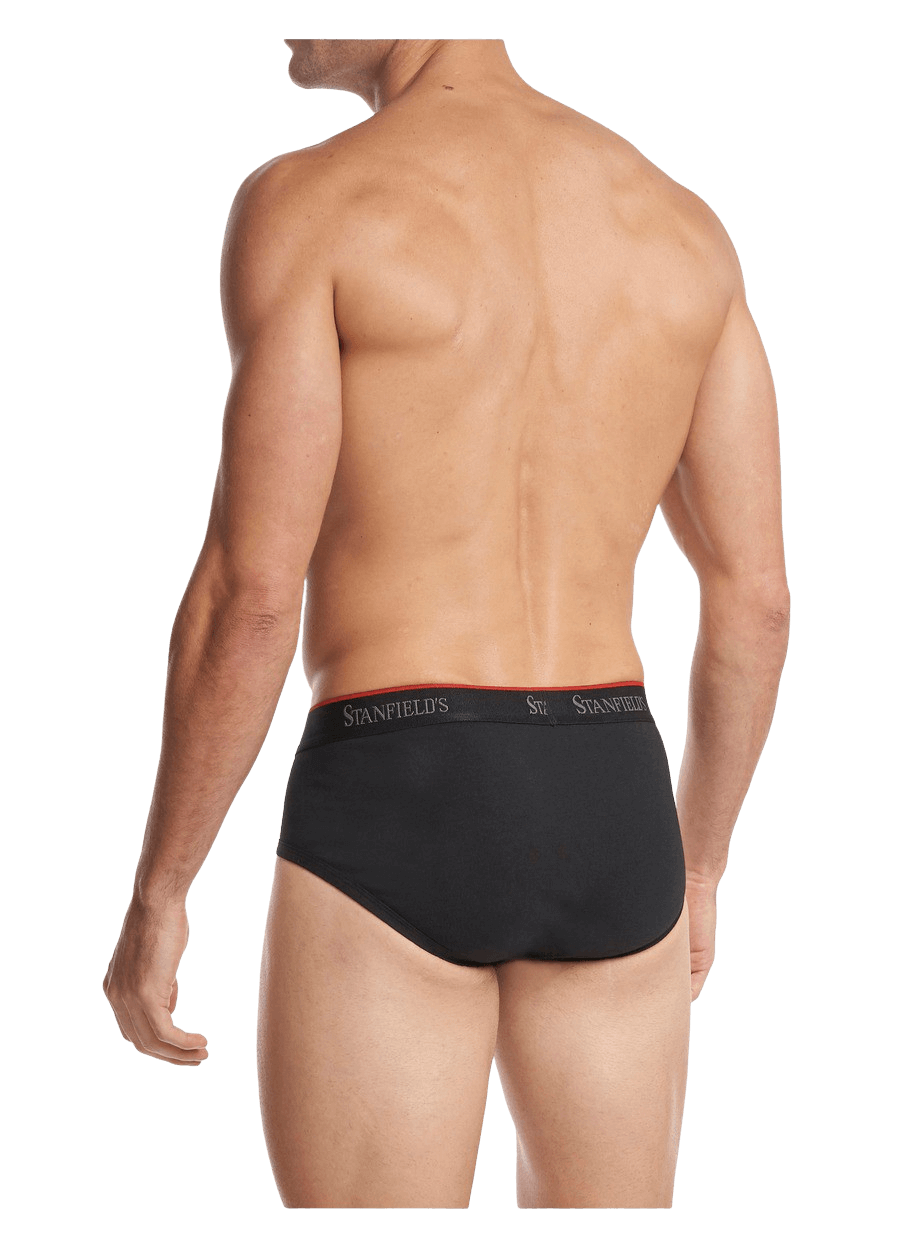  Stanfield's Men's 6-Pack Cotton Brief Underwear Black, Size  Small : Clothing, Shoes & Jewelry