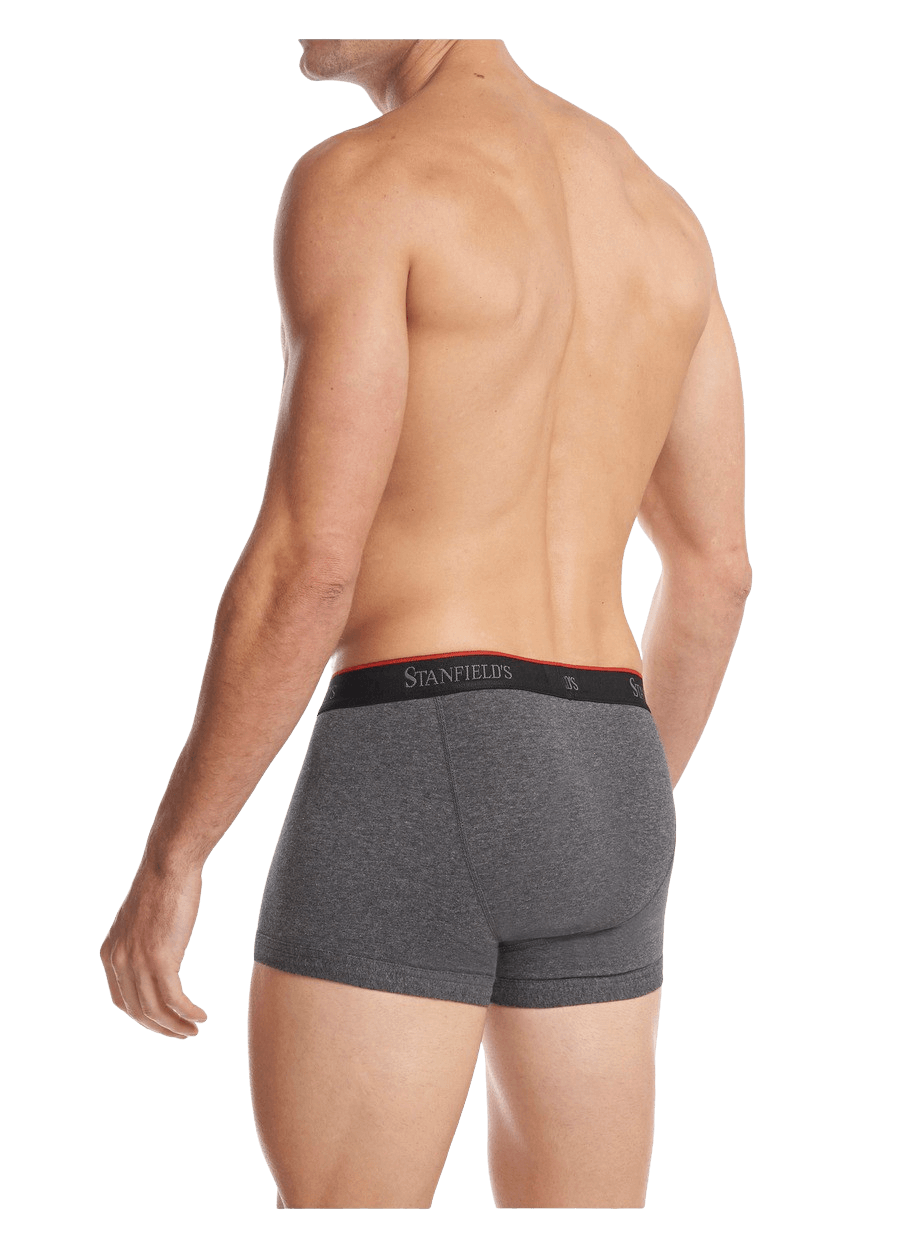 Stanfield's Big and Tall 2-Pack Cotton Boxer Briefs